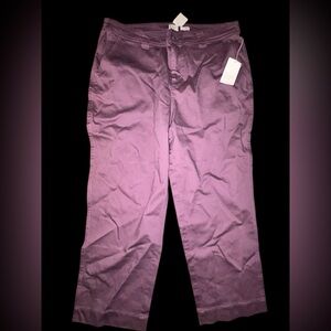 NWT A New Day High-Rise Tapered Ankle Chino Pants - Dark Plum - Size 16.